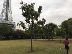 -文华公园(禅城区)