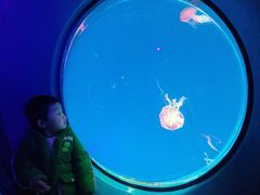 -海合安成都极地海洋公园