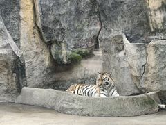 -南昌动物园