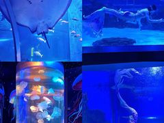 -顺德南宏海立方海洋公园