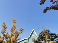 -八大关景区