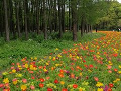 -共青国家森林公园-售票处