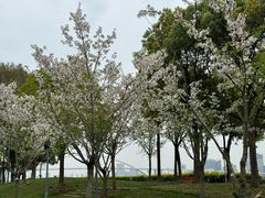 -龙美术馆(西岸馆)
