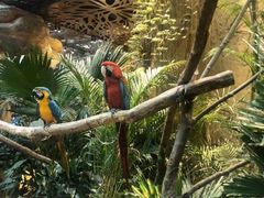 -杭州开元森泊度假乐园