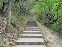 -北京西山国家森林公园