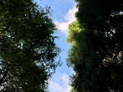 -山王坪喀斯特国家生态公园