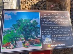 -红螺寺