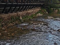 -北京水岸山吧度假村(雁栖镇店)