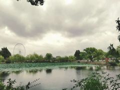 -无锡蠡湖国家湿地公园-蠡园
