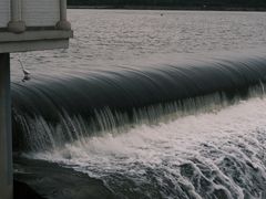 -灞河西岸滨河公园