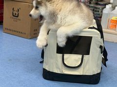 -博特宠物医院24h犬猫全科.骨科·异宠