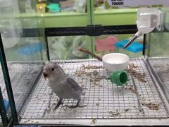 -北京华联购物中心(同成街店)