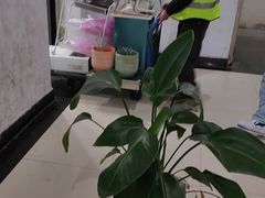 -蚂蚁搬家成都打包搬运公司