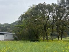 -新安江山水画廊风景区