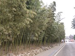 -西安国际创新人才交流中心•药浴温泉