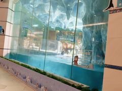 -帝企鹅自助餐厅•儿童岛•真企鹅(长隆企鹅酒店)