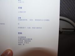 -德国汉莎航空公司