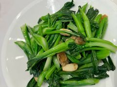 生炒菜心-新成海港大酒楼(康华路店)