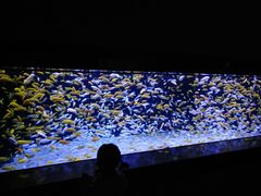 -成都浩海立方海洋公园