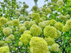 -湖南烈士公园(芙蓉区)