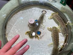 -强记海鲜·大排档(蛇口新街店)
