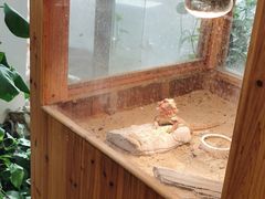 -上海大自然野生昆虫馆