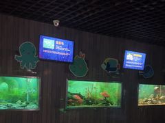 -秦皇岛新澳海底世界