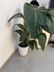 -Dr·Jane皮肤管理中心