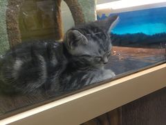 -乐宠宠物店(世纪金源店)