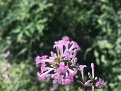 -碓臼峪自然风景区