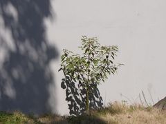 -南京市江宁方山