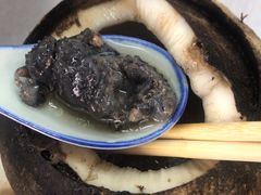 -達揚原味燉品(文明路店)