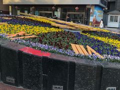 -小邢板栗(银湖中路店)