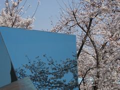 -龙美术馆(西岸馆)