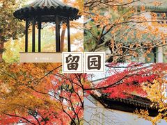-拙政园