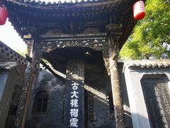 -大槐树寻根祭祖园