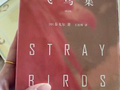 -深圳东部华侨城茵特拉根酒店