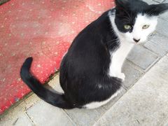 -三点小吃(山大店)