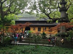 -普陀山风景名胜区-法雨禅寺