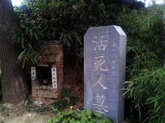 -活死人墓