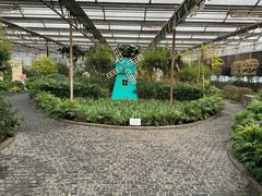 -南宫五洲植物乐园