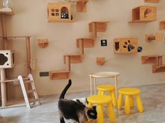 -猫力发电所·宠物专门店