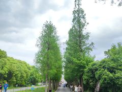 -广富林郊野公园