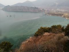 -望湖烤鱼