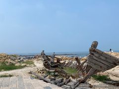 -日照海滨国家森林公园
