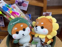 -思琪宠物医院(昆山花桥店)