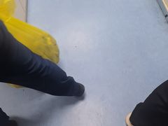 -博特宠物医院24h犬猫全科.骨科·异宠