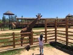 -鄂尔多斯野生动物园