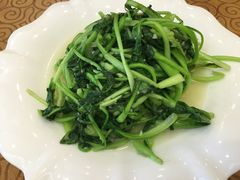 蒜蓉鸡毛菜-白魁老号饭庄(安内店)