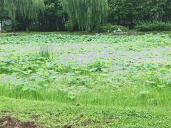 -堤角公园
